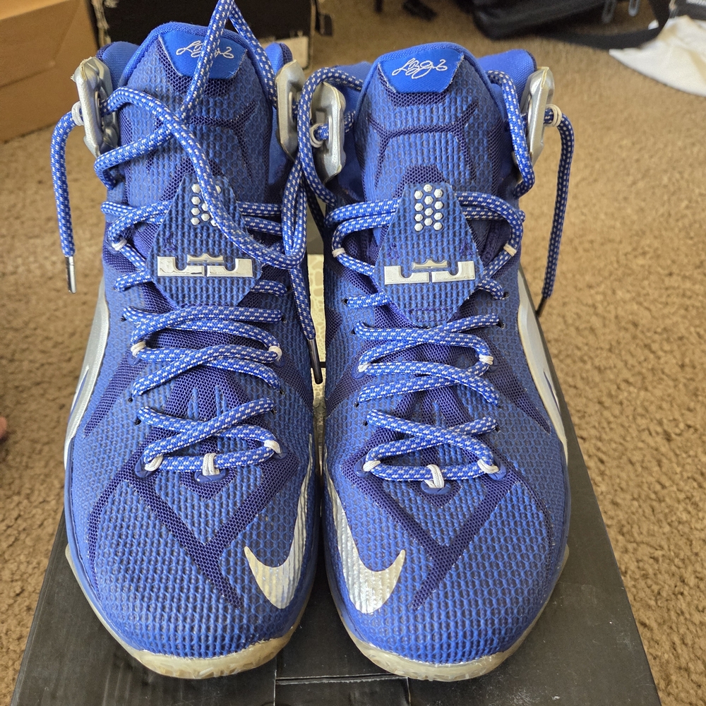 Nike Blue and Silver LeBron Signature Men's Basketball Shoes